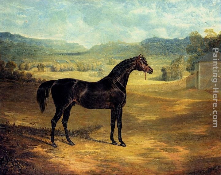 John Frederick Herring Snr The Bay Stallion Jack Spigot